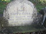 image of grave number 370893